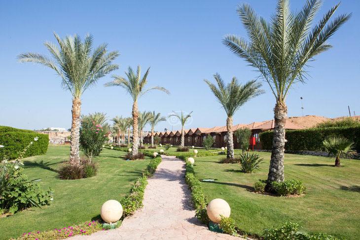 Xperience Golden Sandy 4* Sharm El-Sheikh
