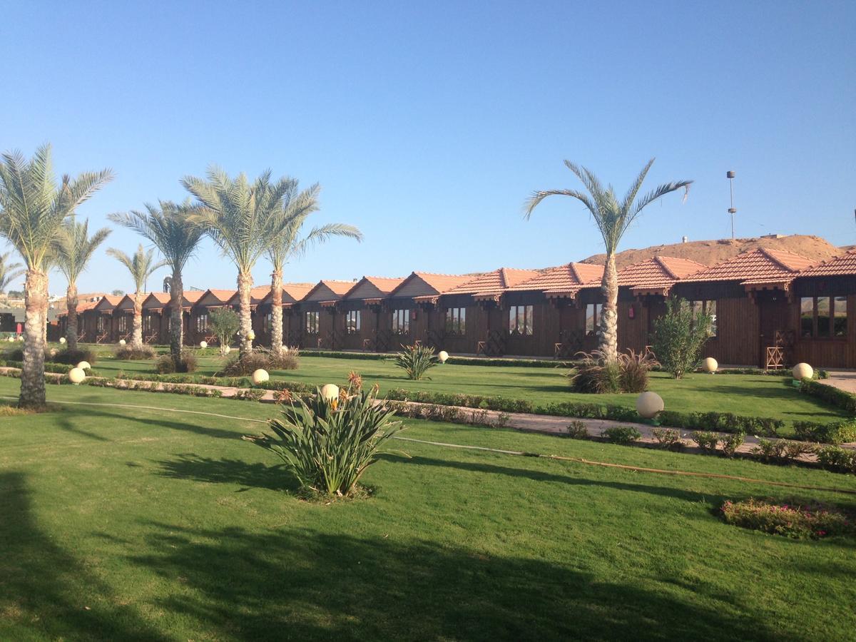 Xperience Golden Sandy منتجع 4*